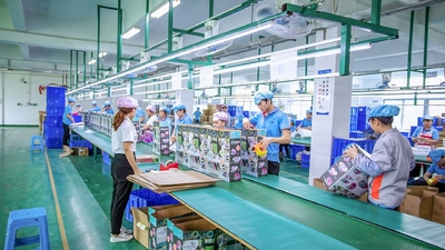 Dongguan Ouninbear Mother And Baby Products Co., Ltd